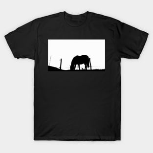 Le cheval et l'oiseau T-Shirt